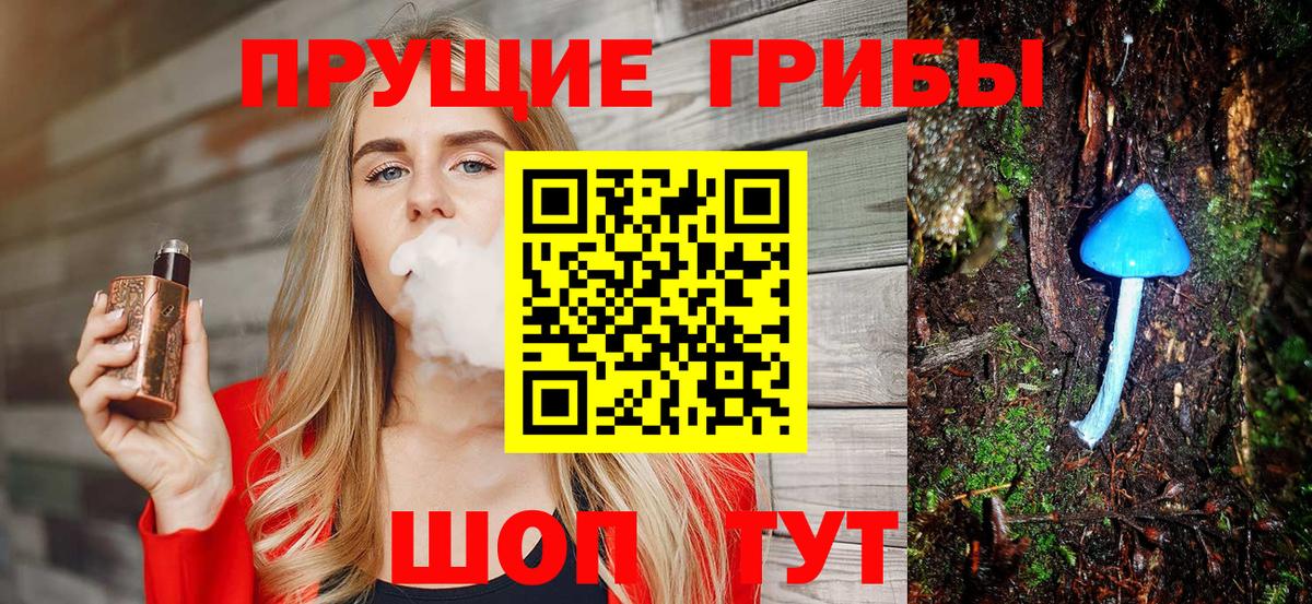 Галлюциногенные грибы Psilocybe  Вход с VPN  Апрелевка 