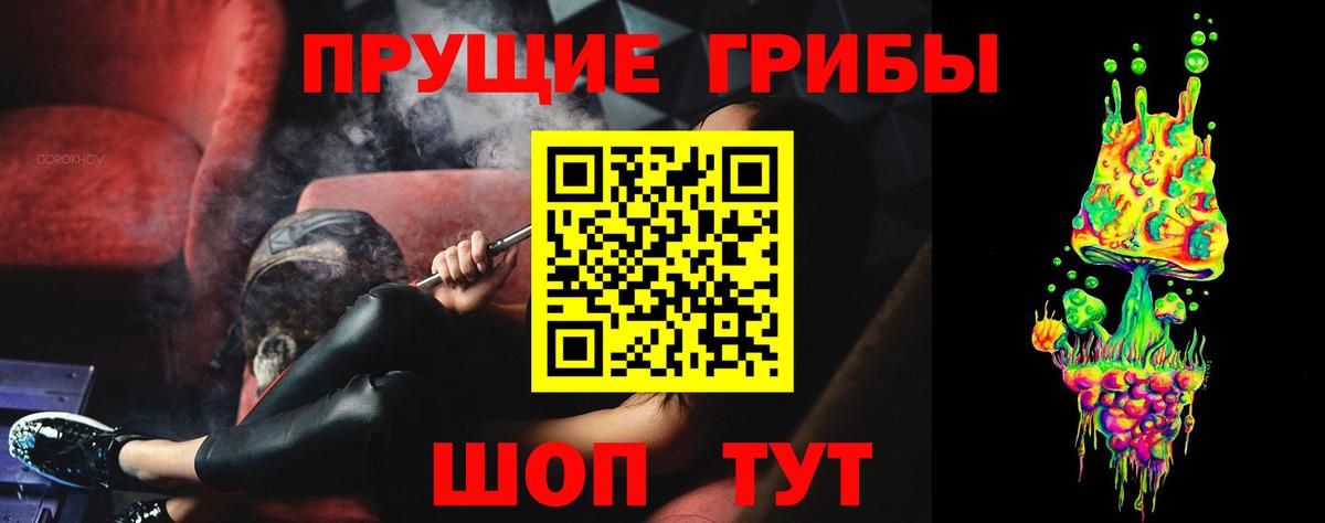 Псилоцибиновые грибы мицелий Апрелевка